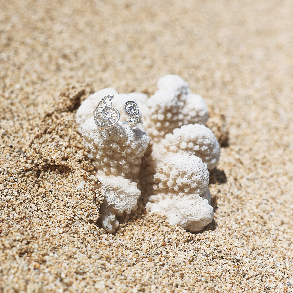 Mini Nautilus Stud Earrings