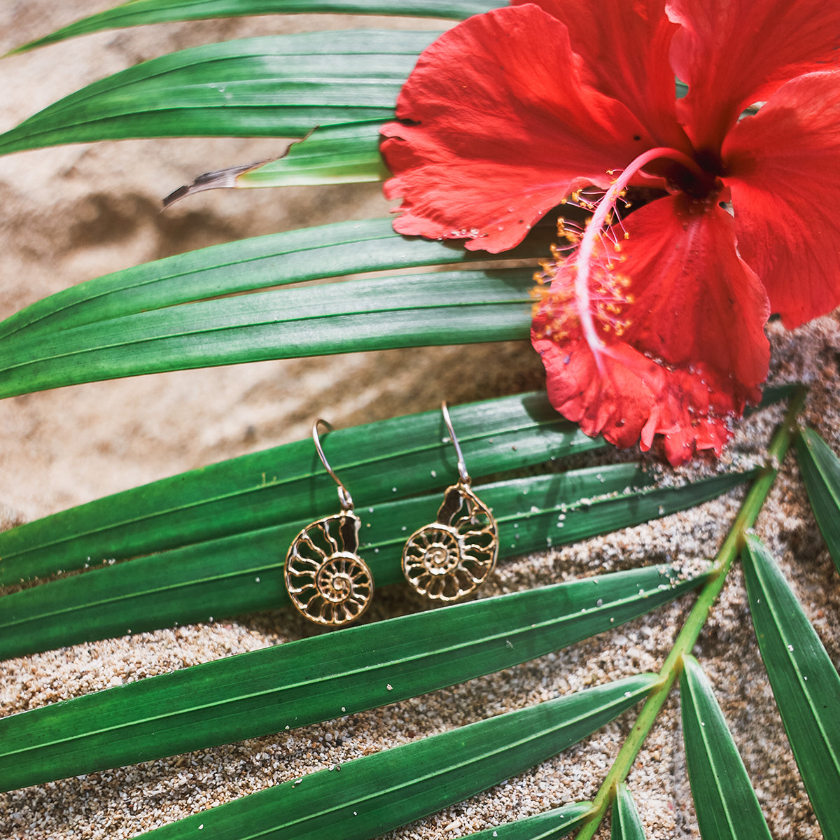 Mini Nautilus Earrings