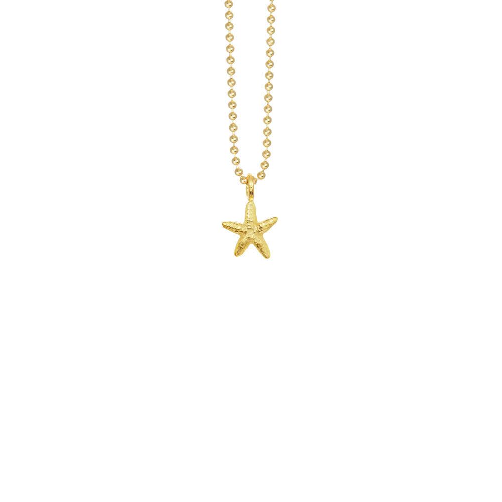 Mini Starfish Necklace
