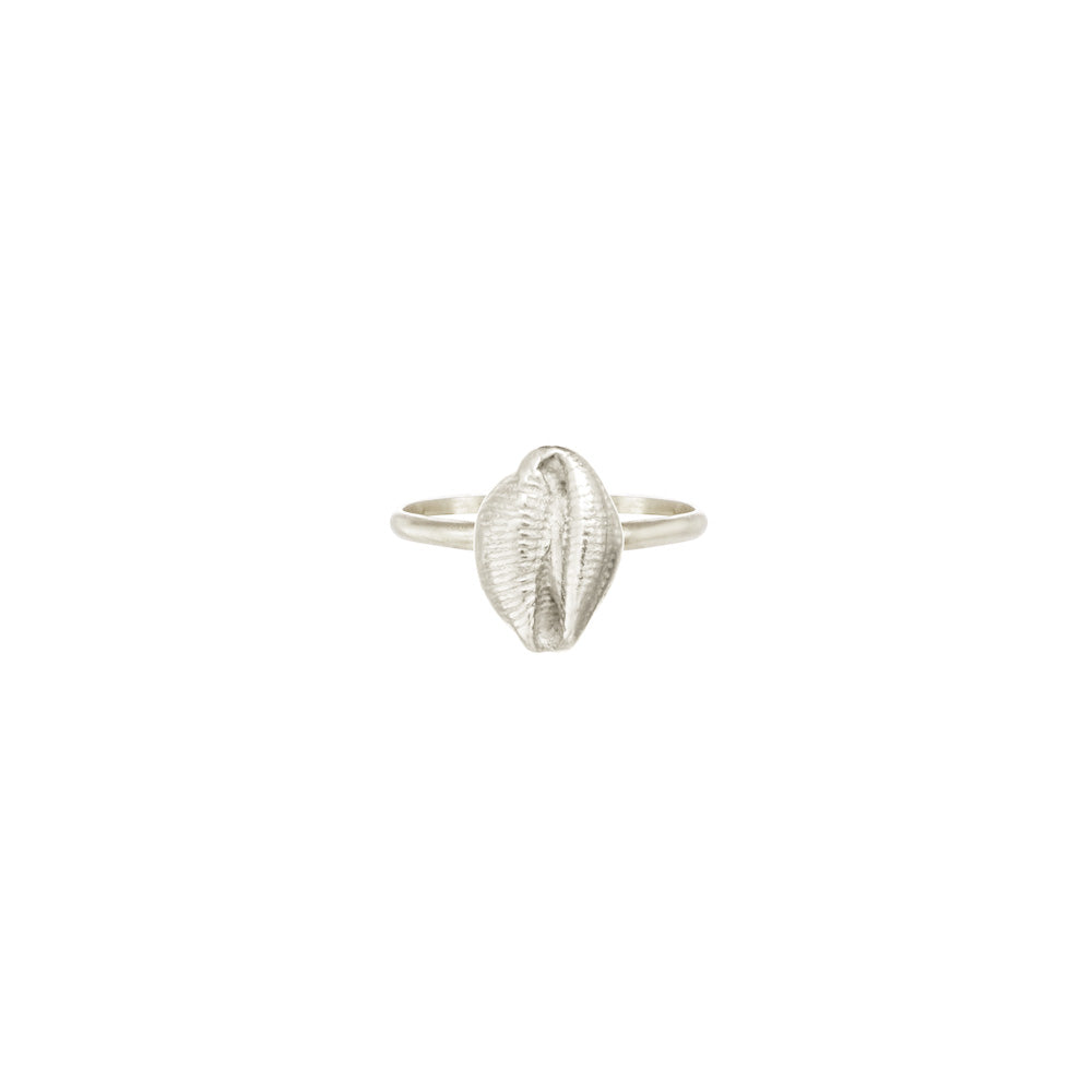Kissing Shell Ring