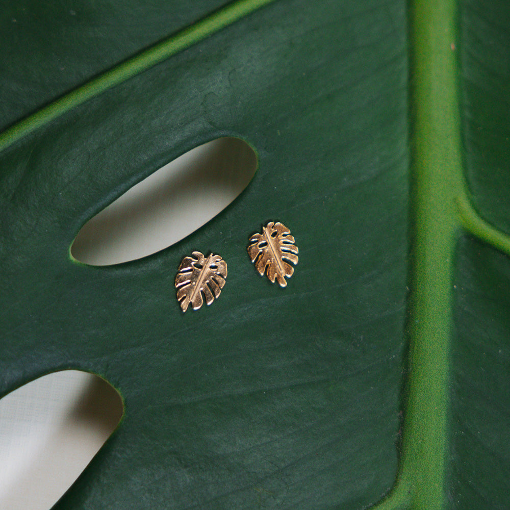 mini monstera studs