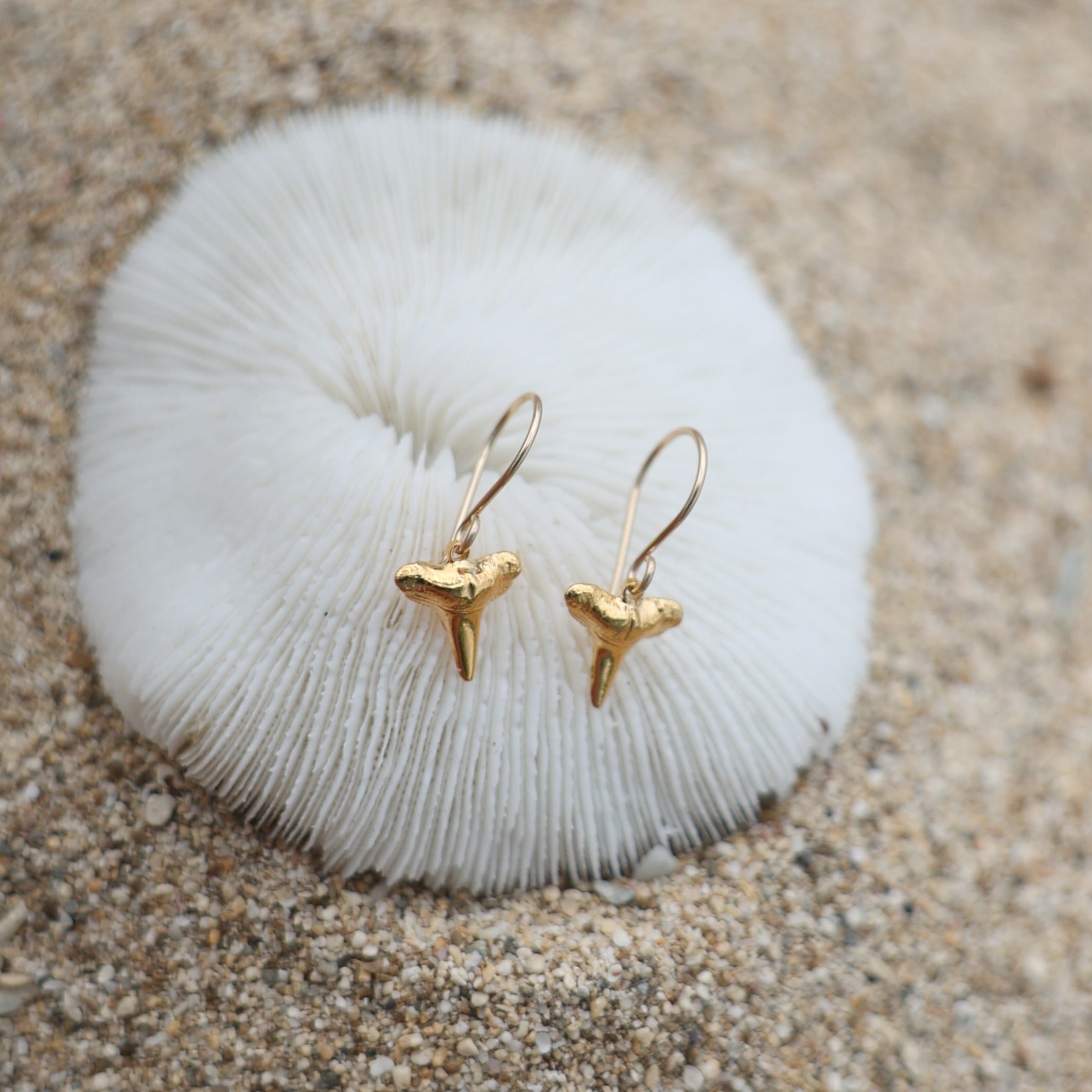 Small Shark Tooth Earrings