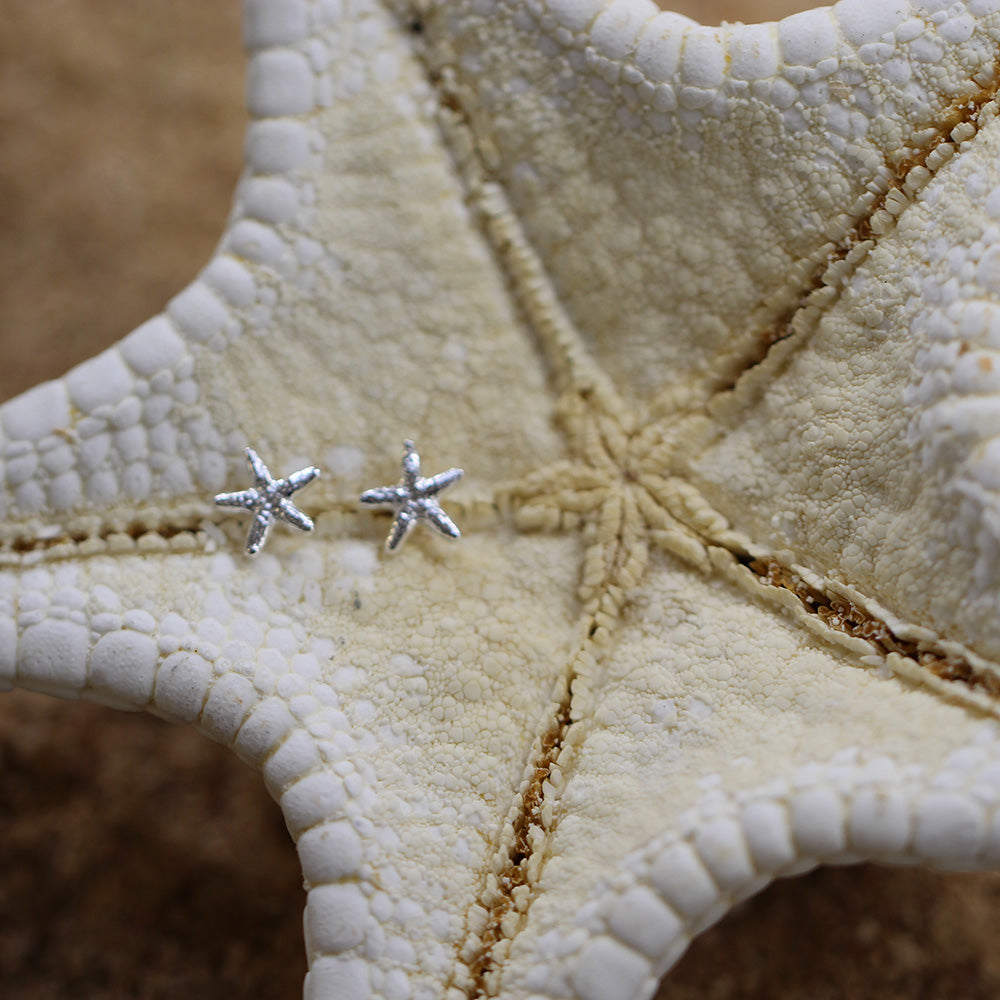 Mini Starfish Stud Earrings