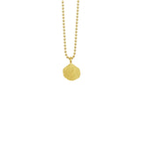 Small Fan Shell Necklace