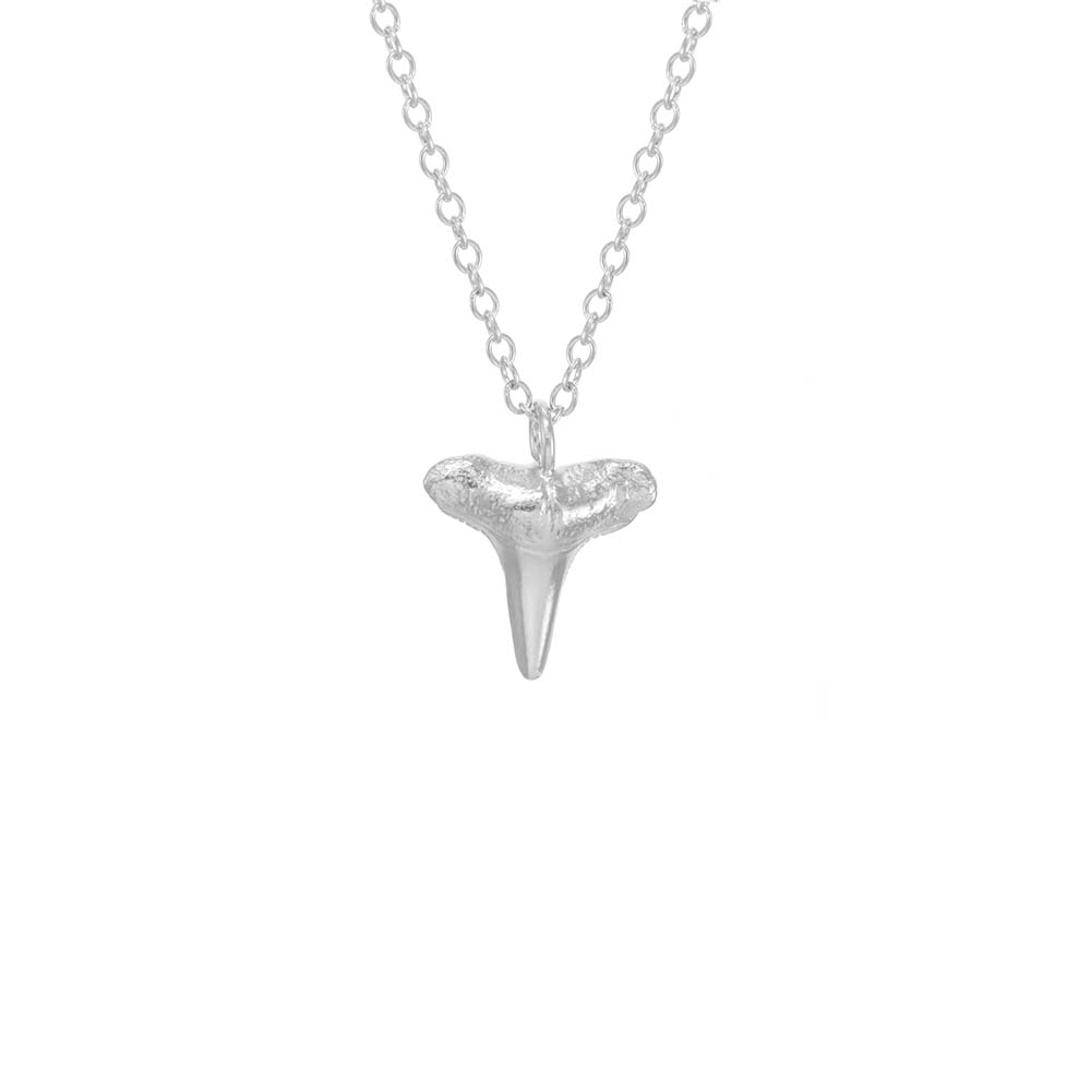 Small Shark Tooth Necklace