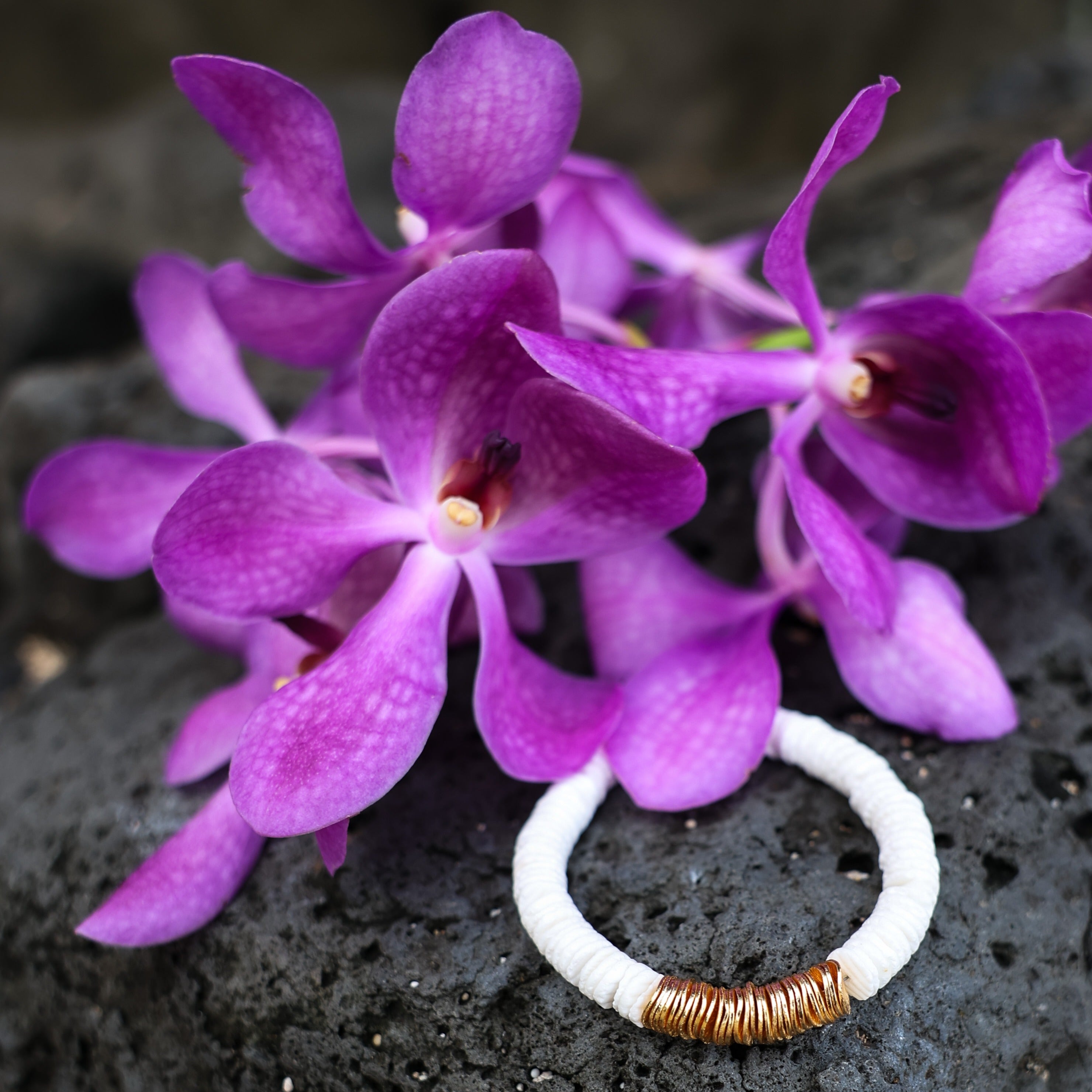 Puka and Gold Bracelet