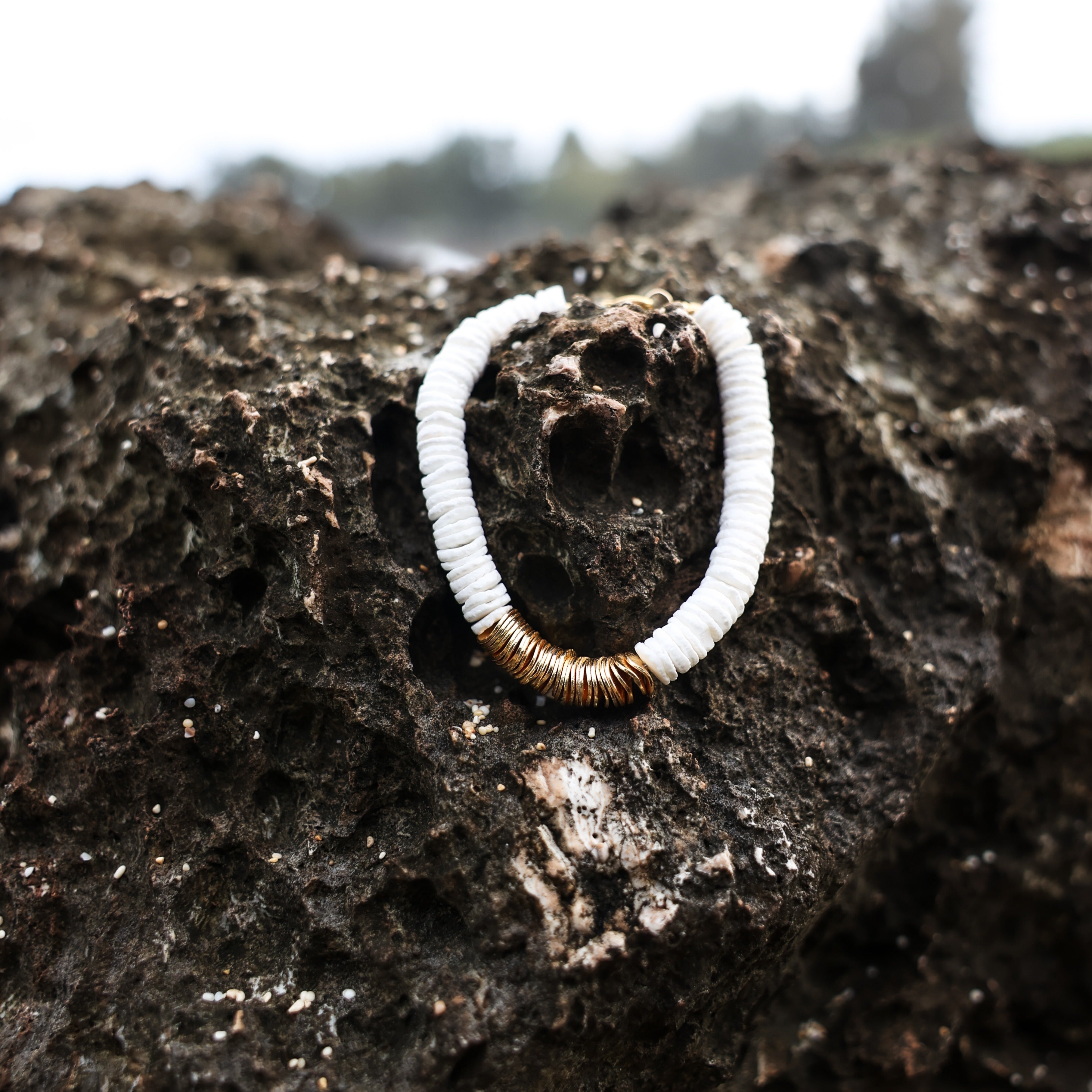 Puka and Gold Necklace