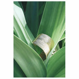 palm cuff bracelet