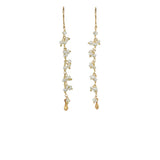 Long Gemstone Dangle with Pod Earrings