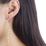 Long Gemstone Dangle with Pod Earrings