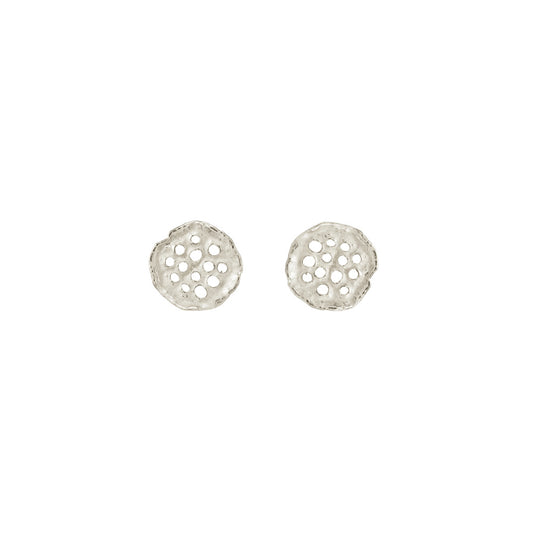WS2023JAN087 (Earrings - Silver)