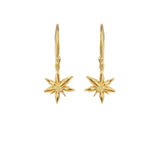 Mini Star Anise Earrings