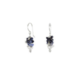Seed Pod Cluster Earrings