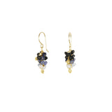 Seed Pod Cluster Earrings