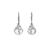 Fernlet with Heart-Shaped Stone Earrings