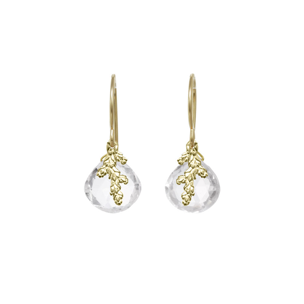 Fernlet with Heart-Shaped Stone Earrings