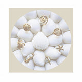Mini Sand Dollar Posts