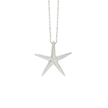 Catherine Weitzman Large Starfish Necklace in Gold main image 0