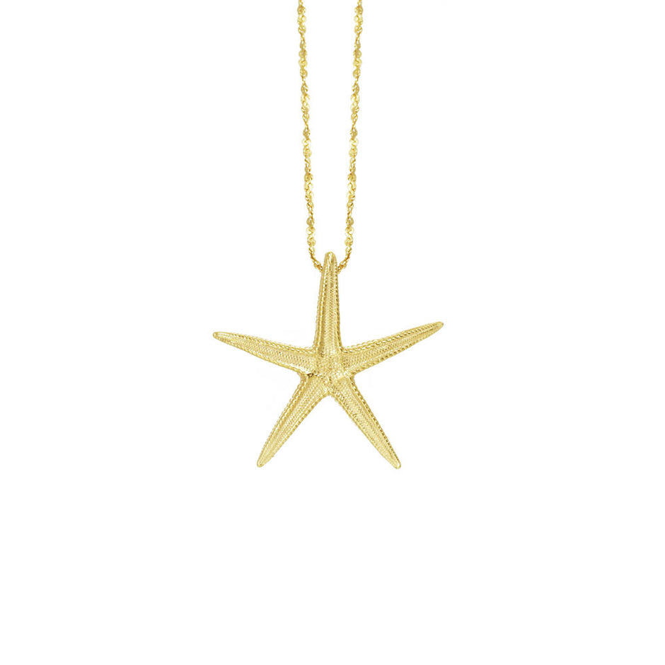 Catherine Weitzman Large Starfish Necklace in Silver main image 0