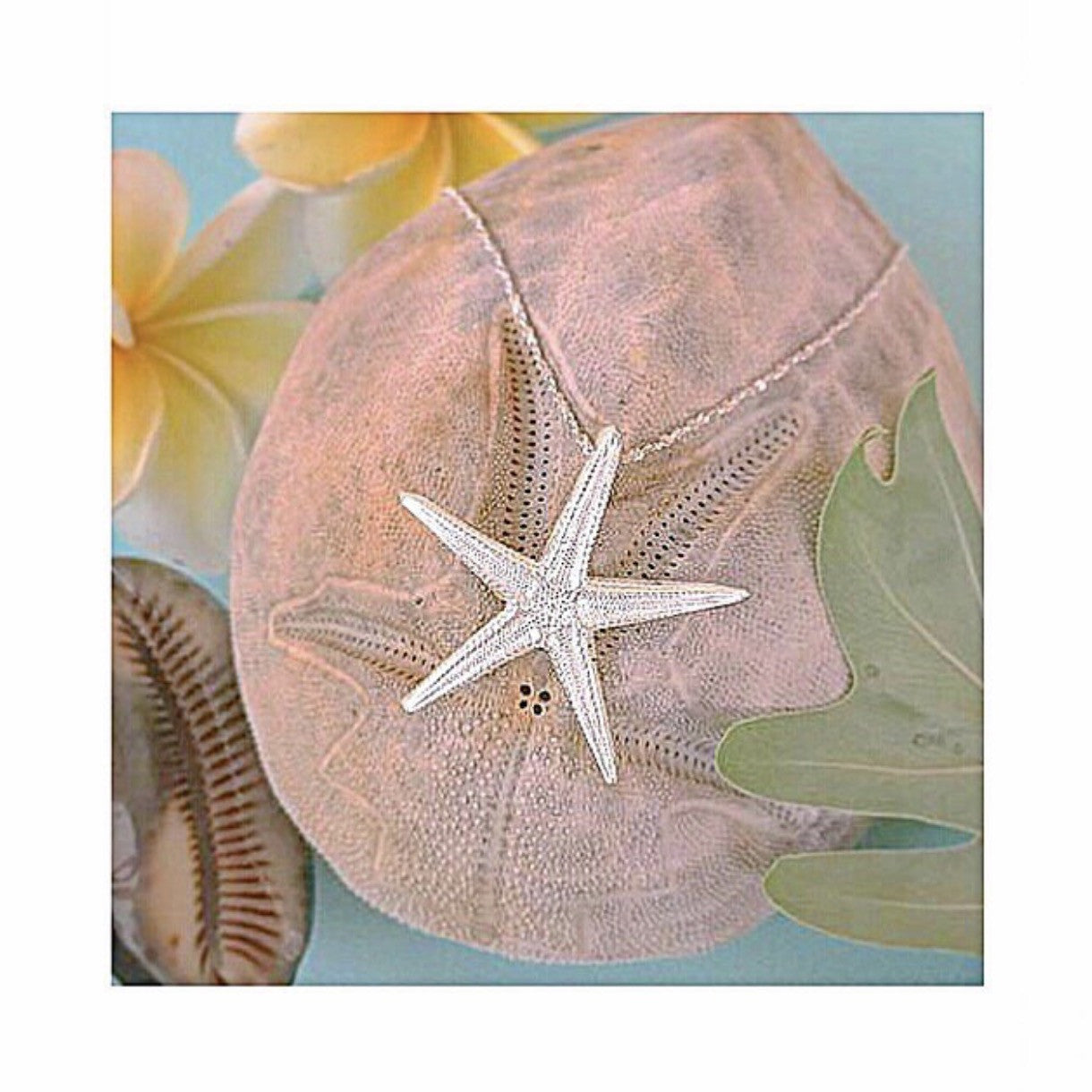 Large Starfish Necklace