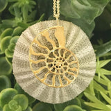 Extra Large Nautilus Necklace