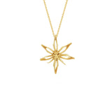 Star Anise Necklace