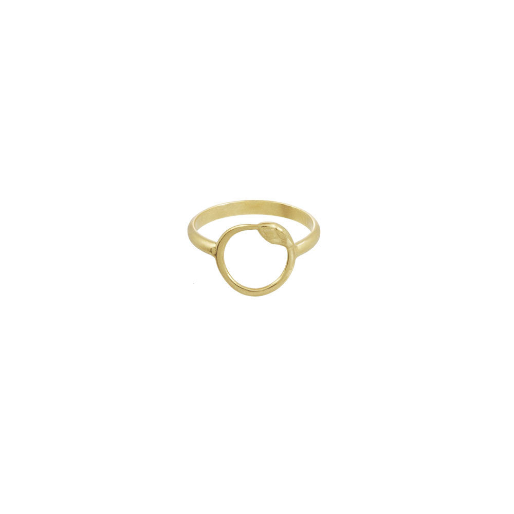 Snake Circle Ring