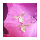 Mini Orchid Posts